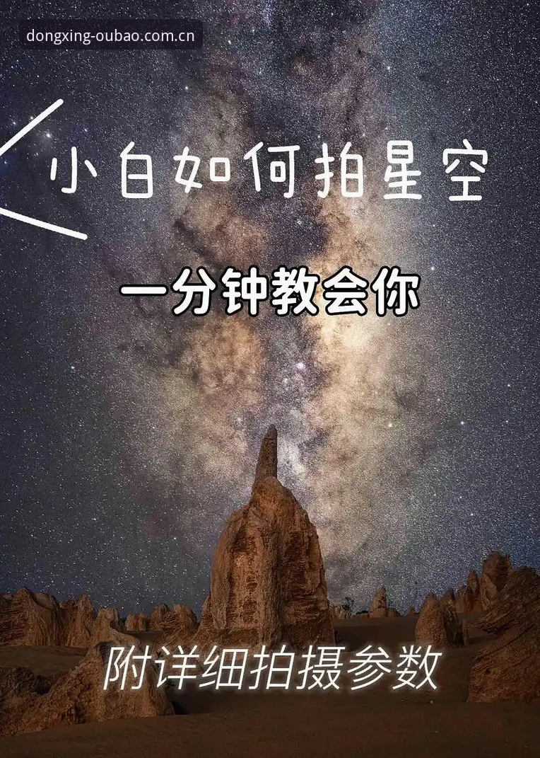 资深用户分享：不动声色的懂行者体育直播对比使用指南，从赛事数据到多端登录的避坑心得